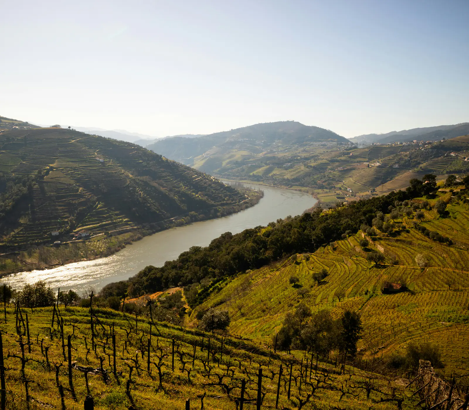 De Douro-vallei: wijnterrassen die aflopen naar de rivier.